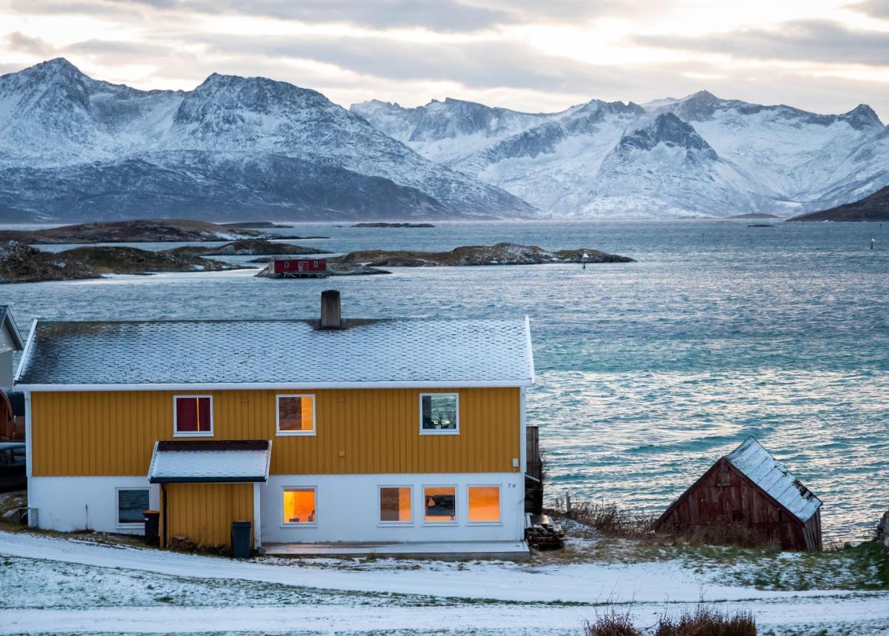Sommaroya Beach Apartment Tromsø Esterno foto